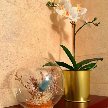 Apartment Louis Garda Desenzano del Garda